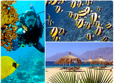 Trip Planner - sites red sea