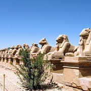 12 Day Egypt Tours - Egyptian Sphinxes, Thebes