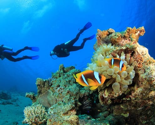 Diving in Sharm El Sheikh