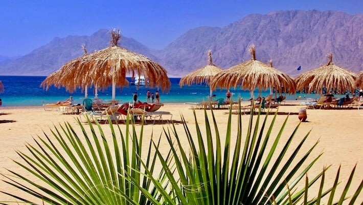 Red Sea beach with palm and umbrellas