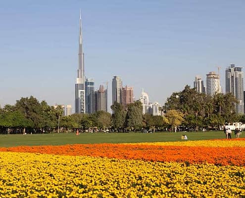 Dubai view from Safa Park