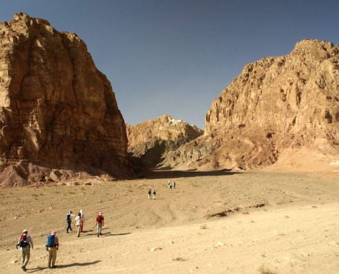 Sinai Desert Tours - Photo by Florian Prischl