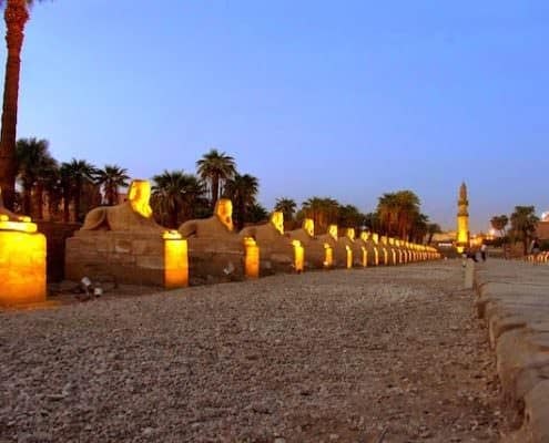 14 Day Egypt Tours - Sphinx Alley near the Luxor Temple, Egypt
