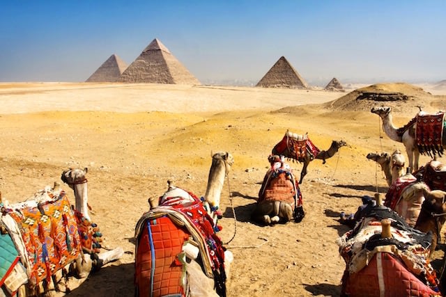 Cairo Tour Packages - Giza Pyramids and Camels