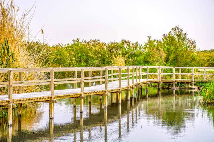 Footbridge in Azraq Wetland Reserve, Jordan