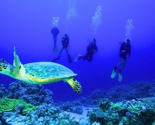 The underwater world of the Red Sea is must-see attraction in Egypt