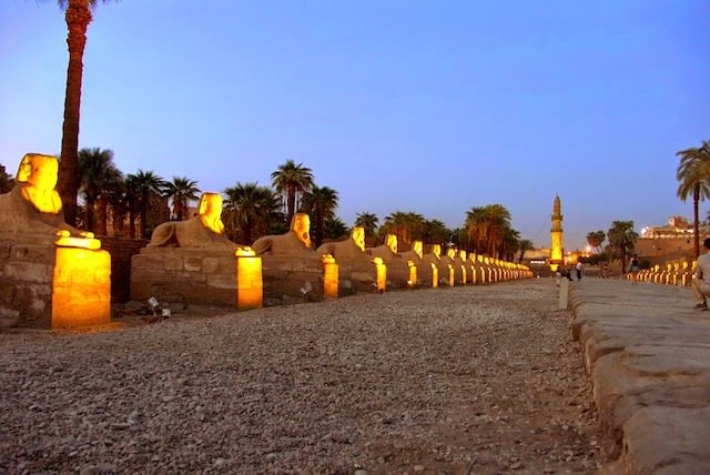 14 Day Egypt Tours - Sphinx Alley near the Luxor Temple, Egypt