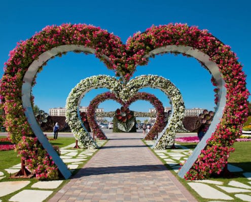 Heart shaped flower beds at the Alley of Hearts. Dubai Miracle Garden is famous for its extraordinary flower installations