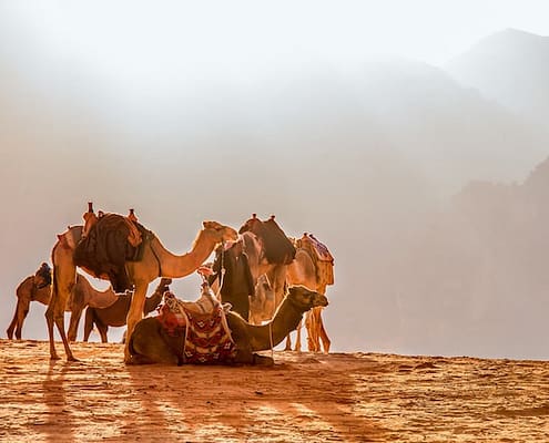 Holidays to Jordan and Egypt