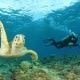 Red Sea Diving Holiday Packages