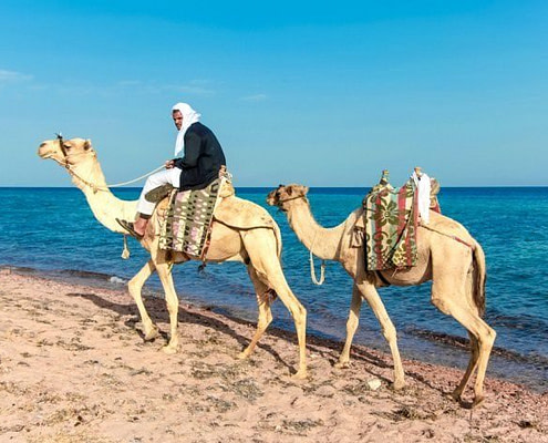 Things to do in Dahab