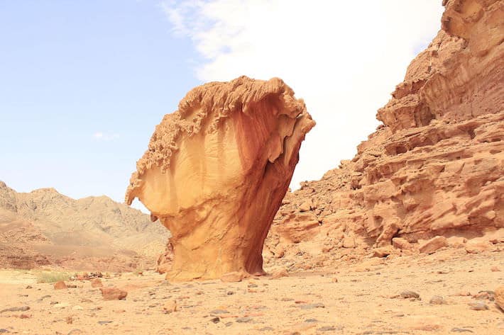 Tours in the Sinai Desert