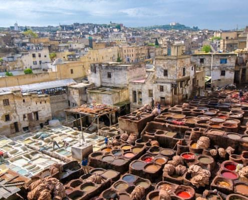 Fez Tours - Tannery in Fez, Morocco