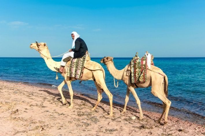Things to do in Dahab