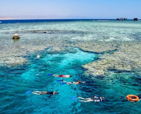 Tiran Island Snorkeling