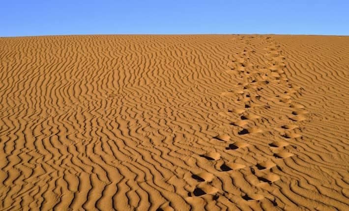 sand Sahara desert in Morocco near Mhamid 2