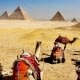 Best time of year to visit Egypt and Jordan - Camels and Pyramids in Egypt