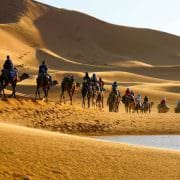 Marrakech Desert Tours - Caravan of tourists on camels riding in the desert