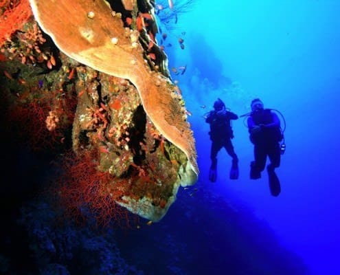 Egypt All Inclusive Diving Holidays