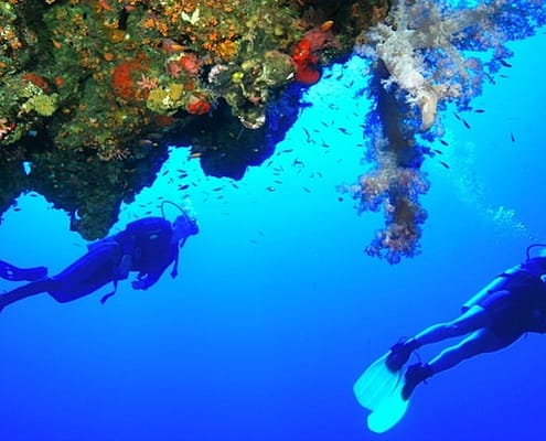 Divers and coral reef, Hurghada, Red Sea