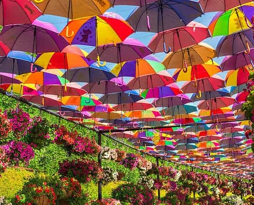 Multicolor umbrellas roof in Dubai Miracle Garden