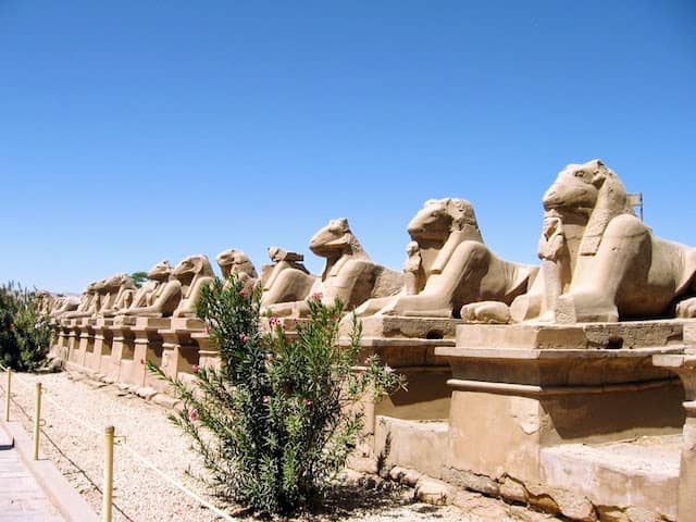 12 Day Egypt Tours - Egyptian Sphinxes, Thebes
