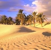 Sahara Desert Attractions