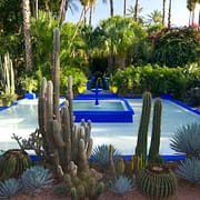 Majorelle Garden