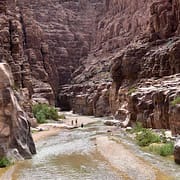 Wadi Mujib Nature Reserve was established in 1987 and is located at the eastern shore of the Dead Sea