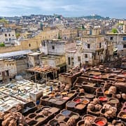 Fez Tours - Tannery in Fez, Morocco