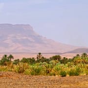 Morocco Desert Tours