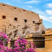 Karnak Temple Tour