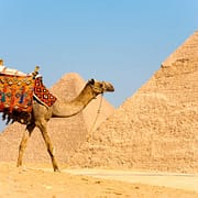 Egypt Classic Tours