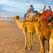 Essaouira Tours