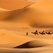 Merzouga Tours