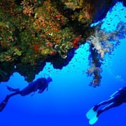 Hurghada Diving Holidays
