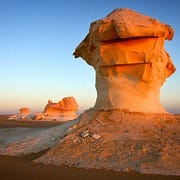 Black and White Desert Tour