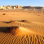 Cairo to Minya