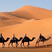 Things to Do in Morocco - Camel Caravan