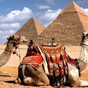Giza Pyramids Half Day Tour