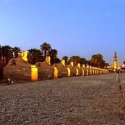 14 Day Egypt Tours - Sphinx Alley near the Luxor Temple, Egypt