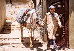 man with horse in old Medina narrow street of Fez in Morocco.Fez is a historic city listed in UNESCO. May 26, 2014,Fez, Morocco.