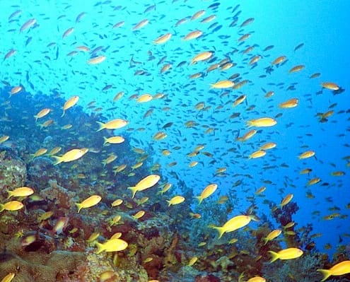 Hurghada Diving Day Trips
