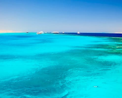 Giftun Island Snorkeling