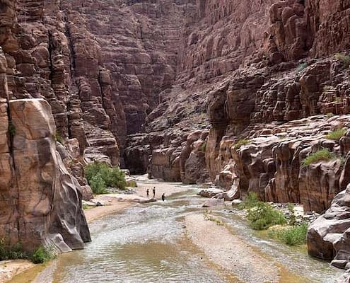 Wadi Mujib Nature Reserve was established in 1987 and is located at the eastern shore of the Dead Sea