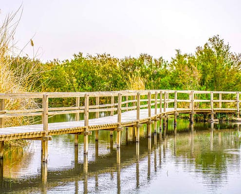 Footbridge in Azraq Wetland Reserve, Jordan