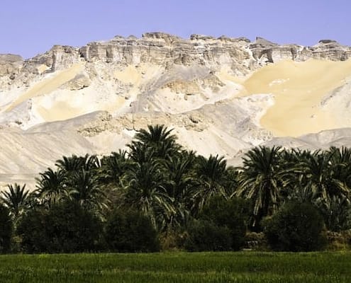 Dakhla Oasis