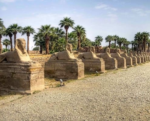 Avenue of Sphinxes, Luxor