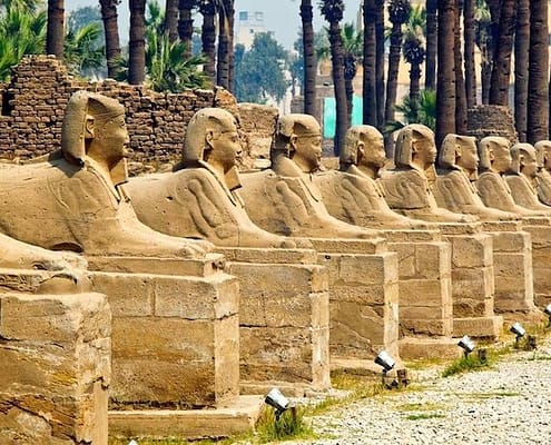 Human headed sphinxes, Luxor Temple
