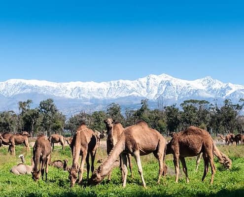Spain, Morocco and Egypt Tours